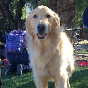 Meet your Posher, Kerri